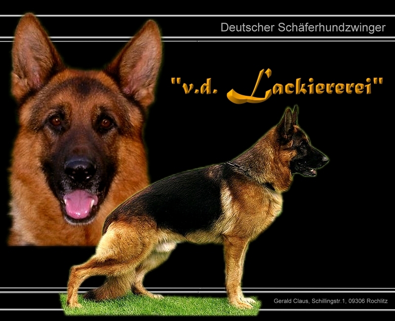 Hier gehts weiter